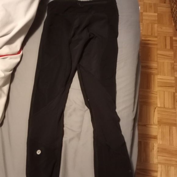 pace rival crop 22" - Picture 3 of 3